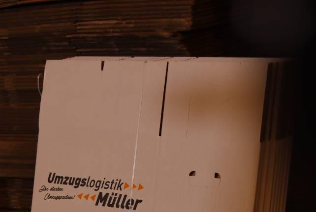 Günstiger Behördenumzug Wilkau-Haßlau