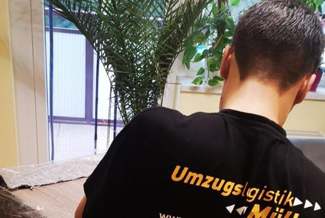 Preise für Ihren Studentenumzug in Wilkau-Haßlau